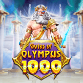 Cổng Olympus 1000 123b mb2 slot